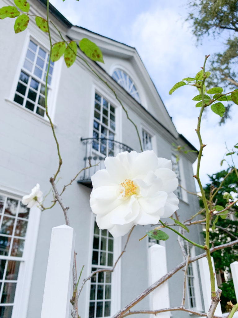 Charleston South Carolina charming homes historic buildings style inherited
