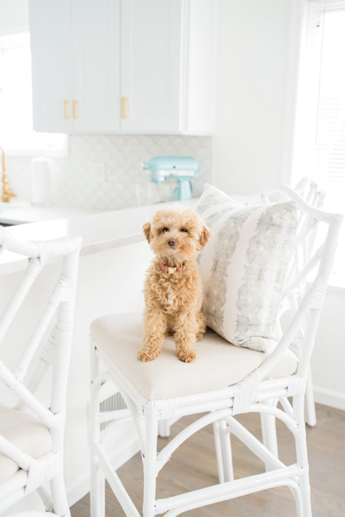 My Cozy Coastal Inspired Kitchen Reveal • Check out my cozy coastal inspired kitchen and find out all the details about my Cafe Appliances from County TV & Appliance. 